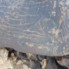 Image of siglum BES20 1248
