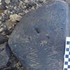 Image of siglum BES20 1248