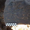 Image of siglum BES20 1248