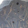 Image of siglum BES20 1248