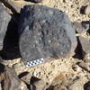 Image of siglum BES20 1248
