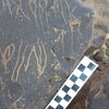 Image of siglum BES20 1248