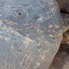 Image of siglum BES20 1248