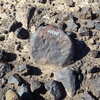 Image of siglum BES20 1248