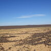 Image of siglum BES20 1248