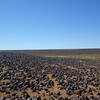 Image of siglum BES20 1248