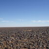 Image of siglum BES20 1248