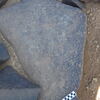 Image of siglum BES20 1248
