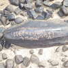 Image of siglum BES20 1248