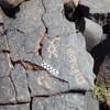 Image of siglum BES20 1248