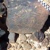 Image of siglum BES20 1248
