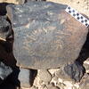 Image of siglum BES20 1248
