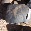 Image of siglum BES20 1248