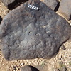 Image of siglum BES20 1248