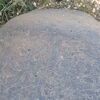 Image of siglum BES20 1248