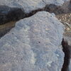 Image of siglum BES20 1248