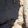 Image of siglum BES20 1248