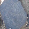 Image of siglum BES20 1248