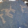 Image of siglum BES20 1248