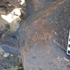 Image of siglum BES20 1248