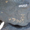 Image of siglum BES20 1248