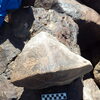 Image of siglum BES20 1248