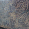 Image of siglum BES20 1248