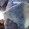 Image of siglum BES20 1248