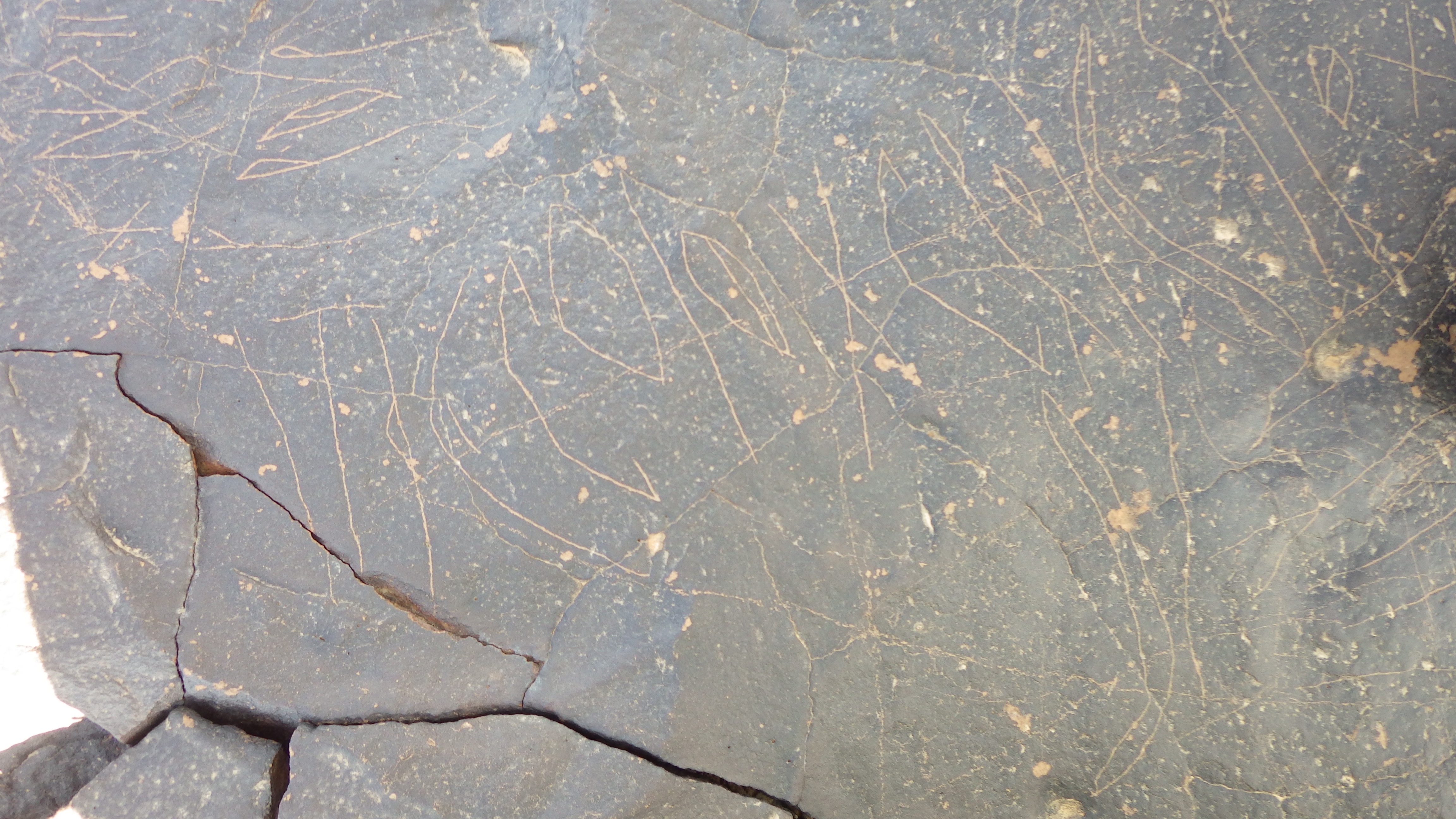 Image of siglum BES20 1249