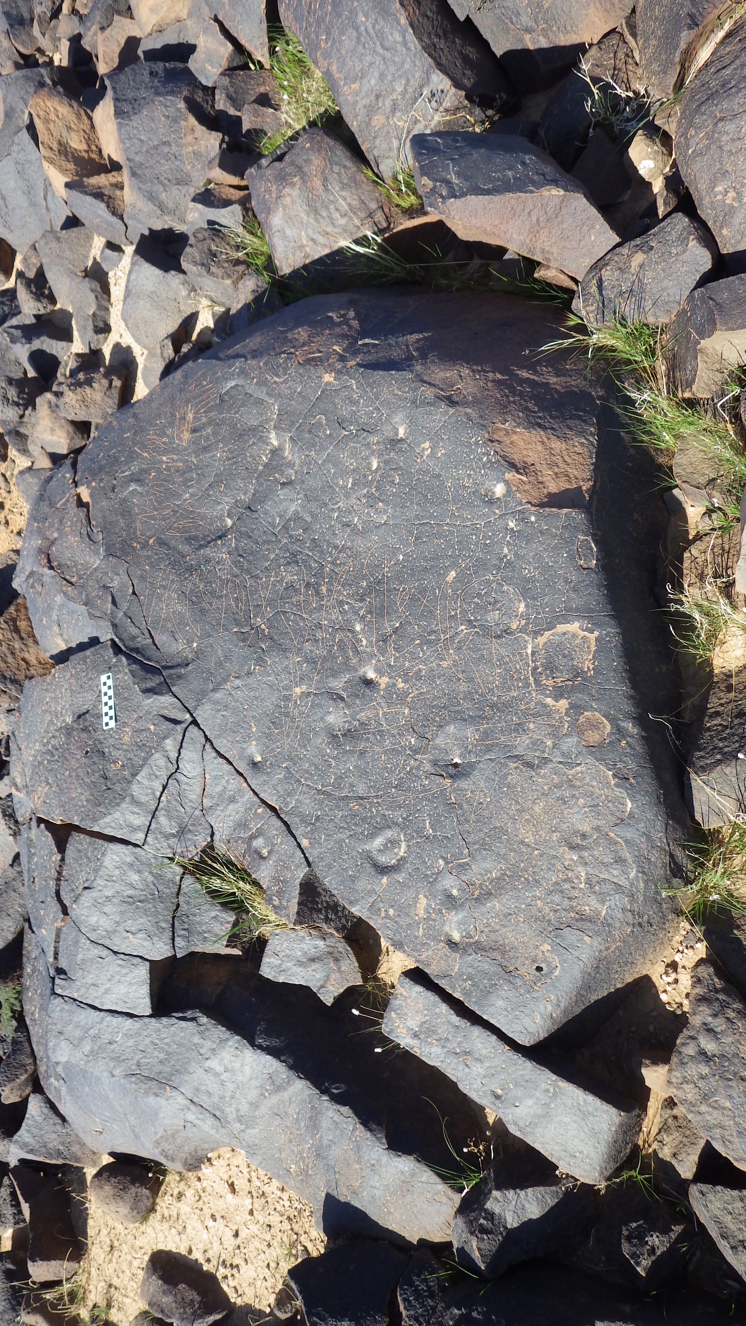 Image of siglum BES20 1250