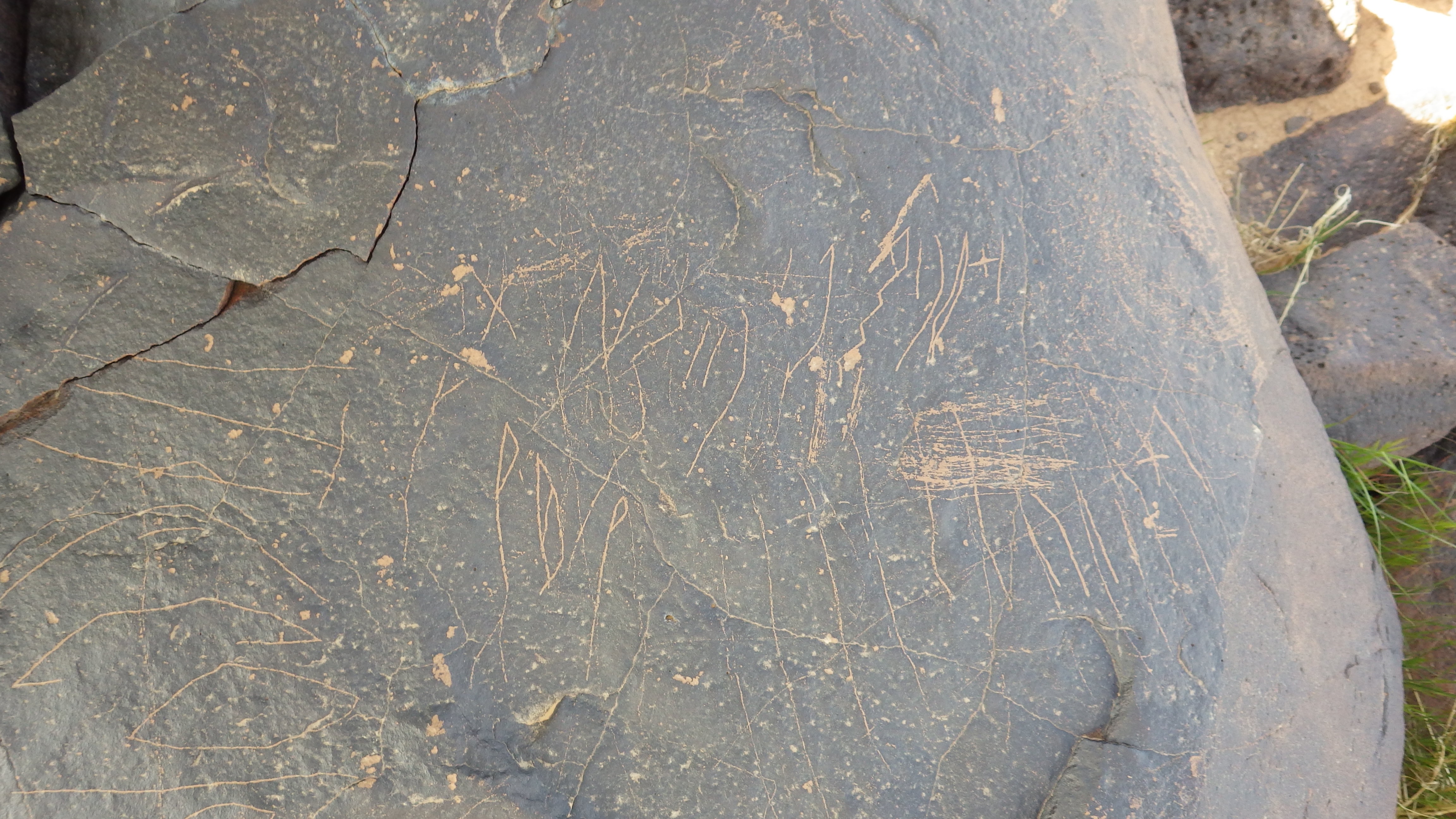 Image of siglum BES20 1250