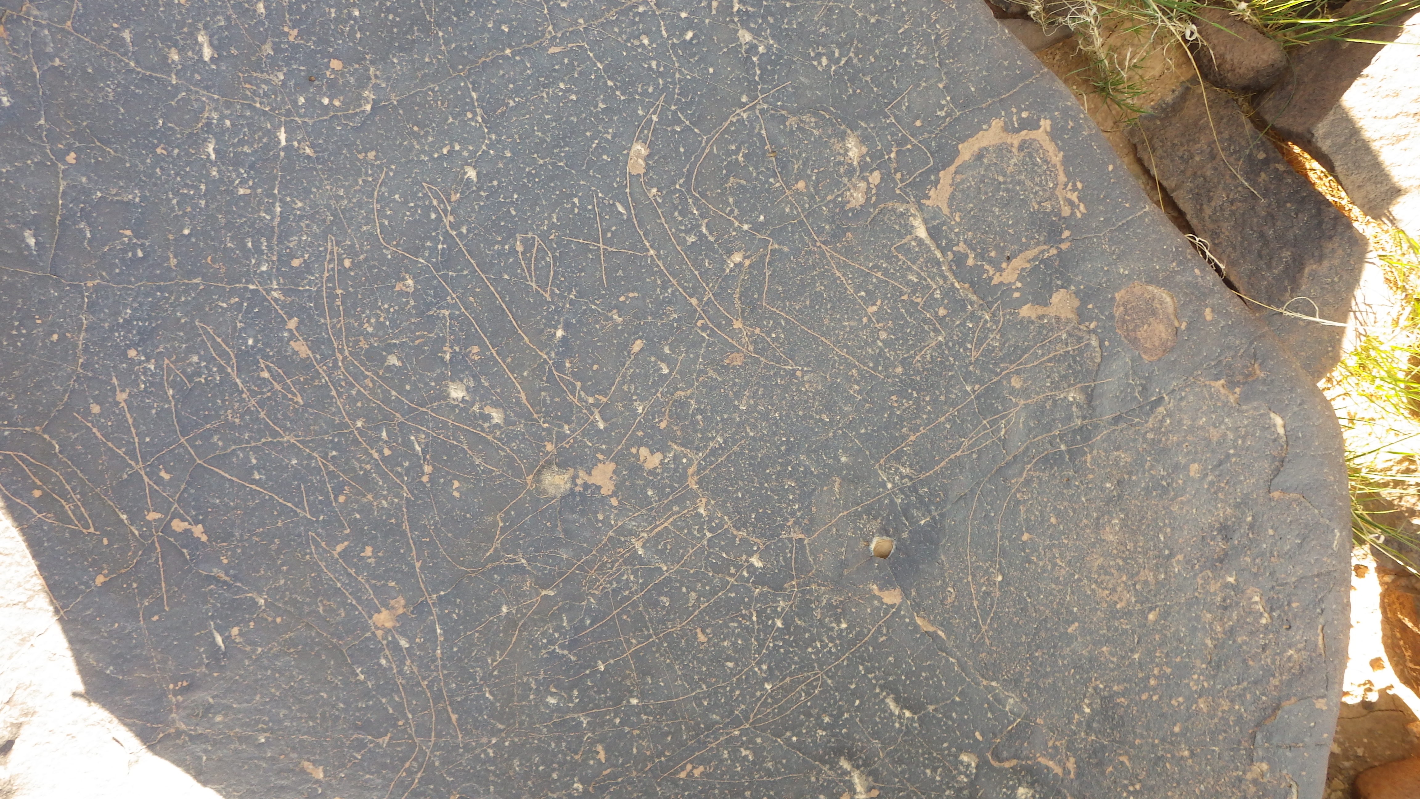 Image of siglum BES20 1250