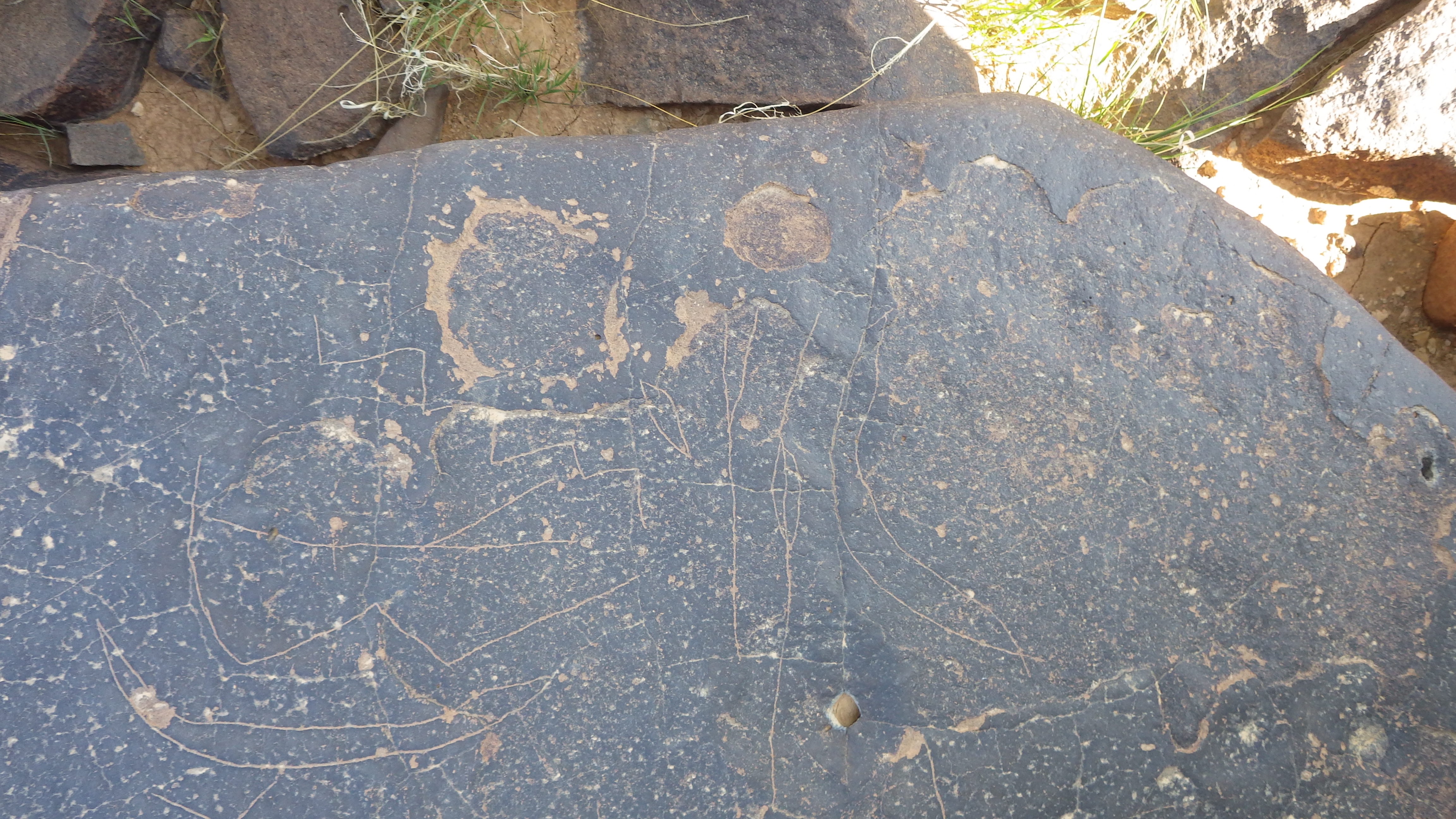 Image of siglum BES20 1250