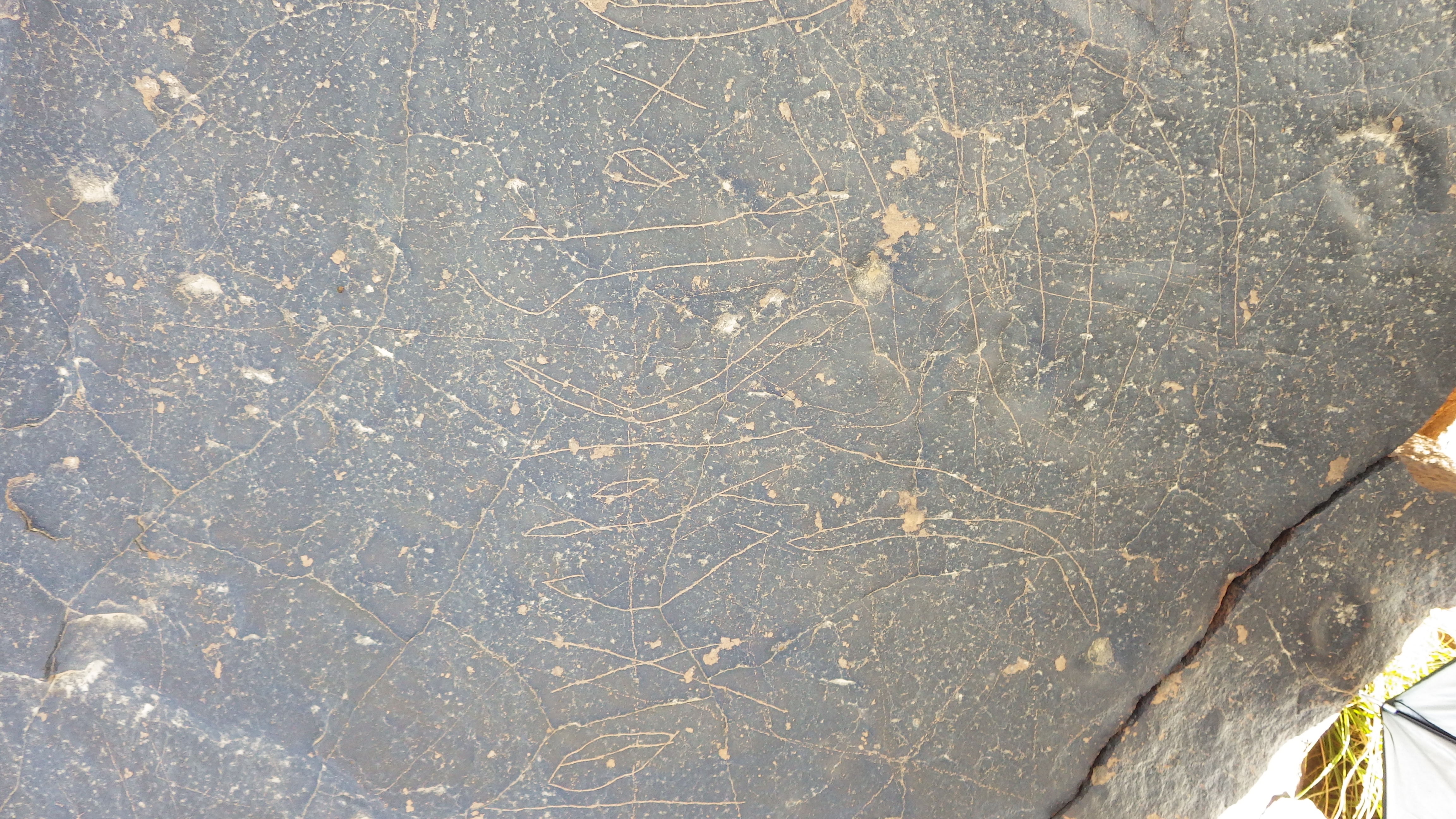 Image of siglum BES20 1250
