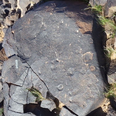 Image of siglum BES20 1250