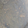 Image of siglum BES20 1250