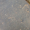 Image of siglum BES20 1250