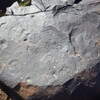 Image of siglum BES20 1250