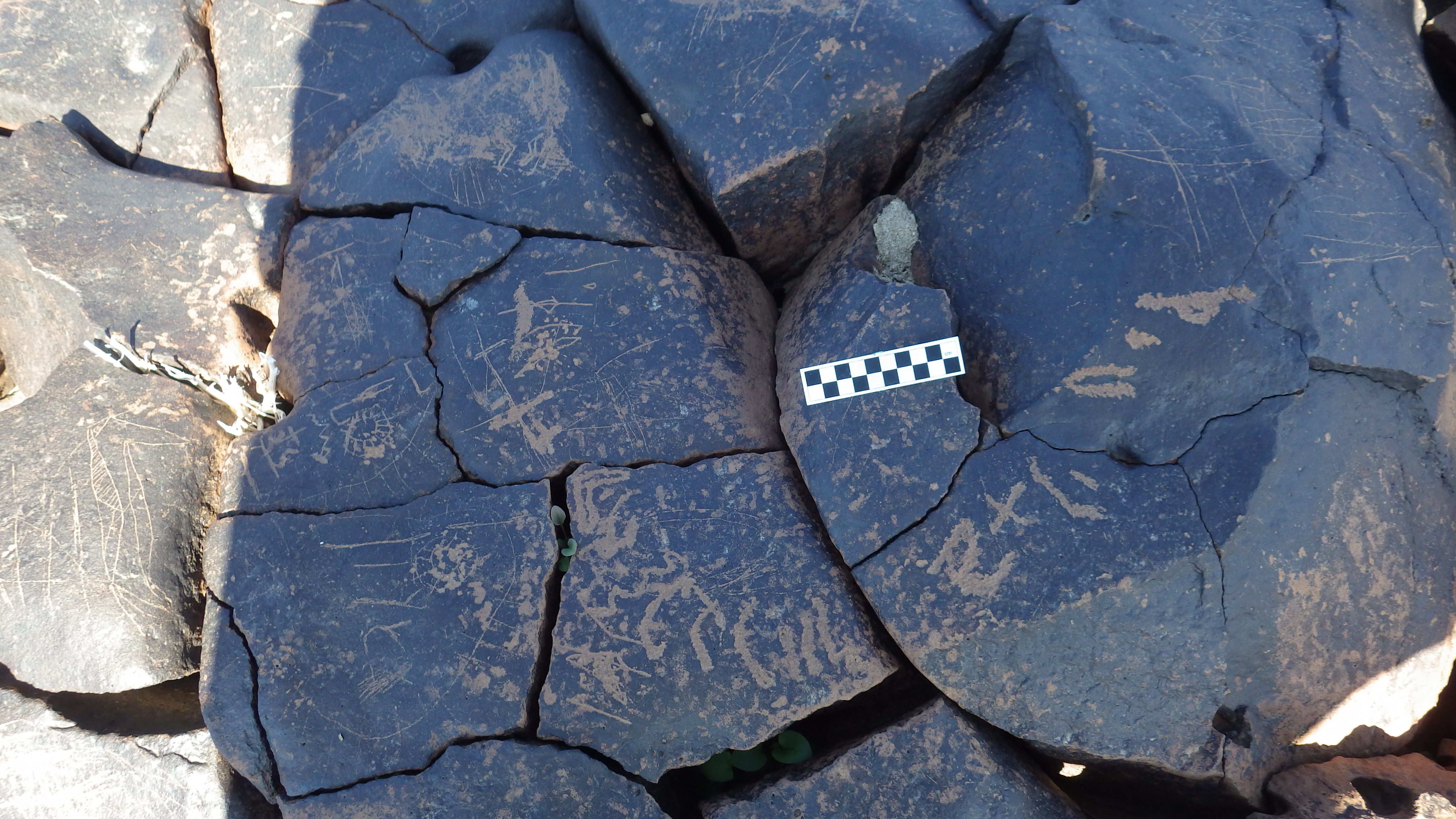 Image of siglum BES20 1252