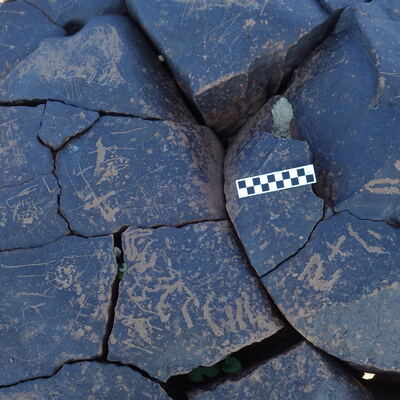 Image of siglum BES20 1252