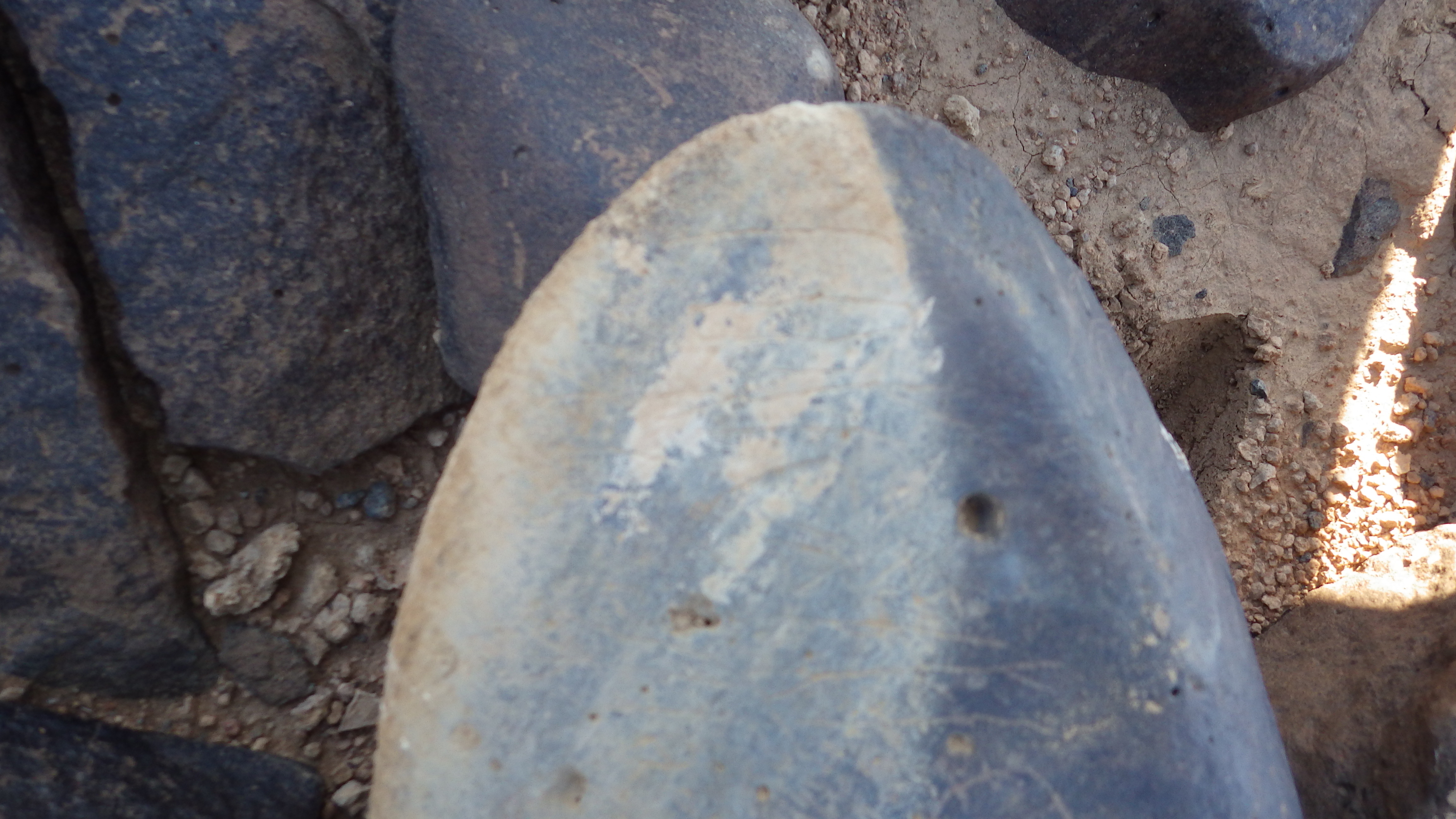 Image of siglum BES20 1260