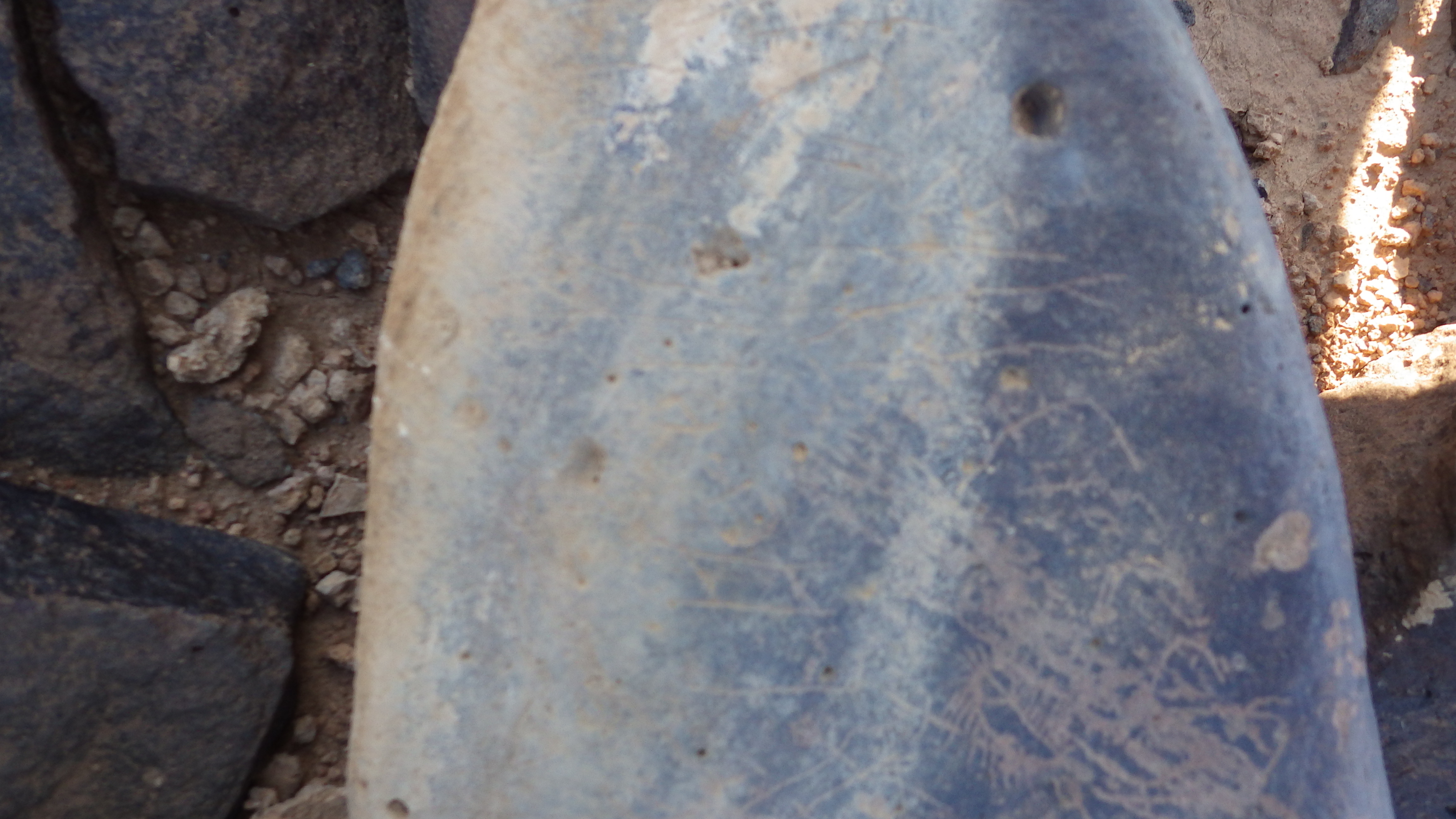 Image of siglum BES20 1260