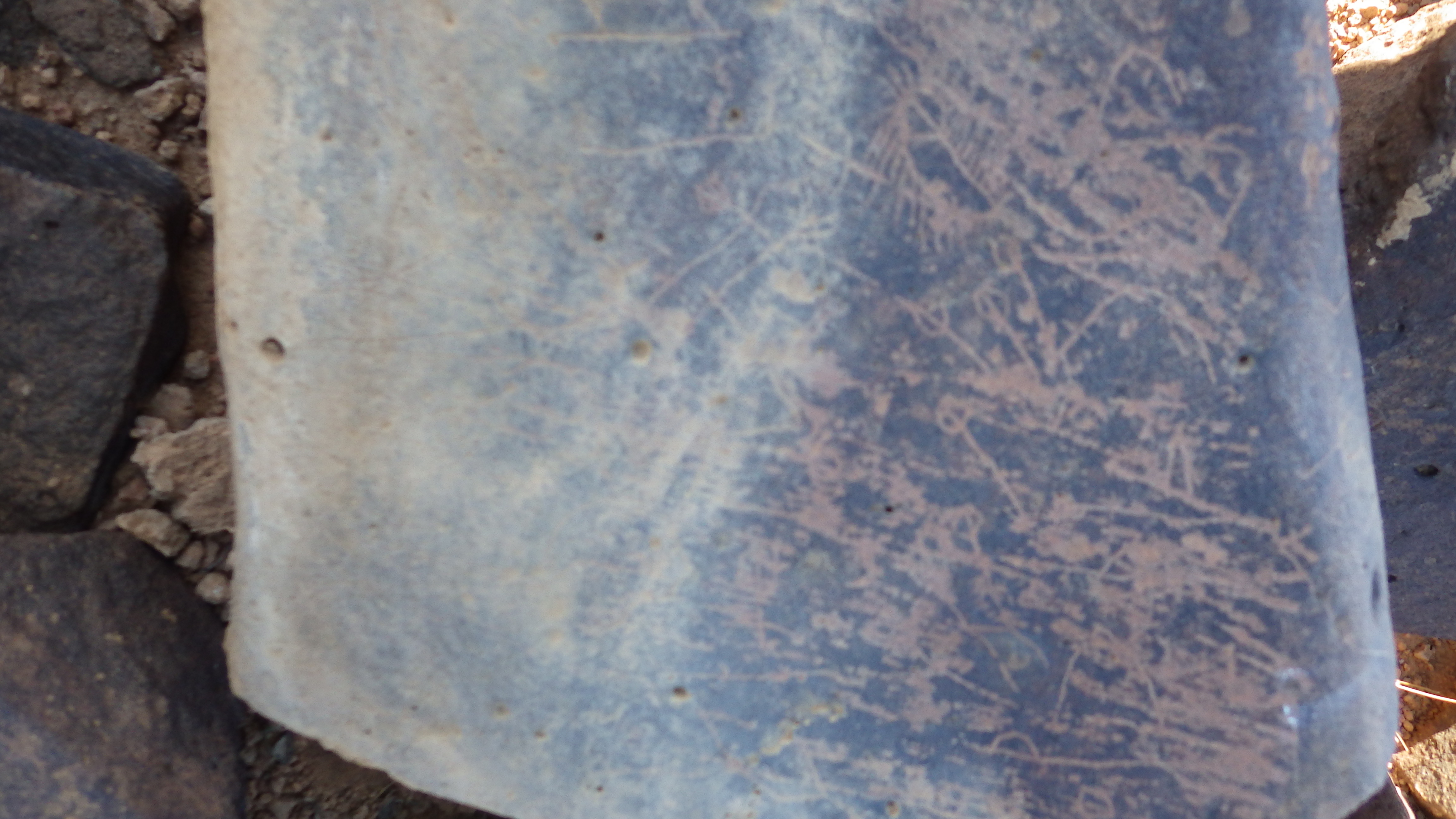 Image of siglum BES20 1260