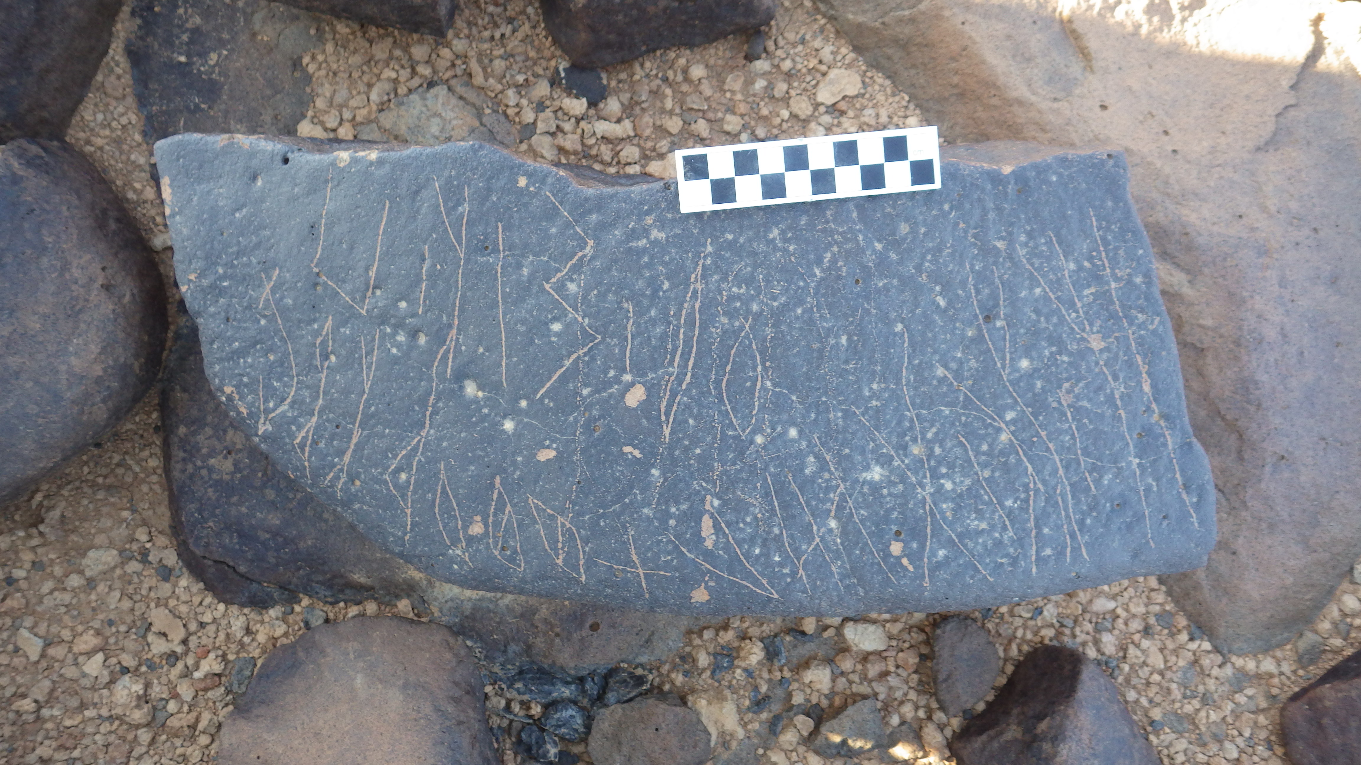 Image of siglum BES20 1261