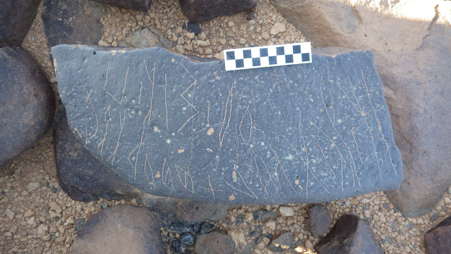 Image of siglum BES20 1261