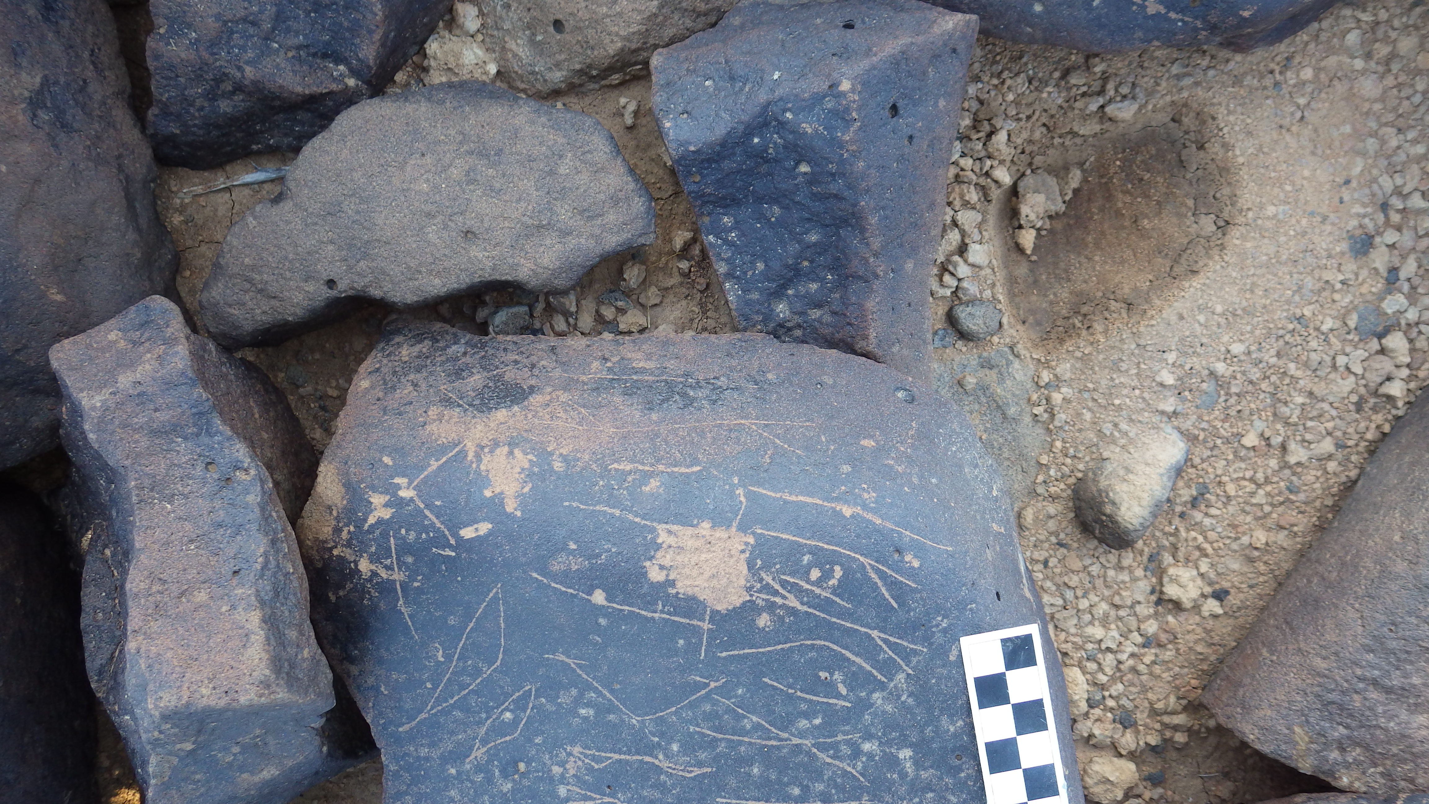 Image of siglum BES20 1264