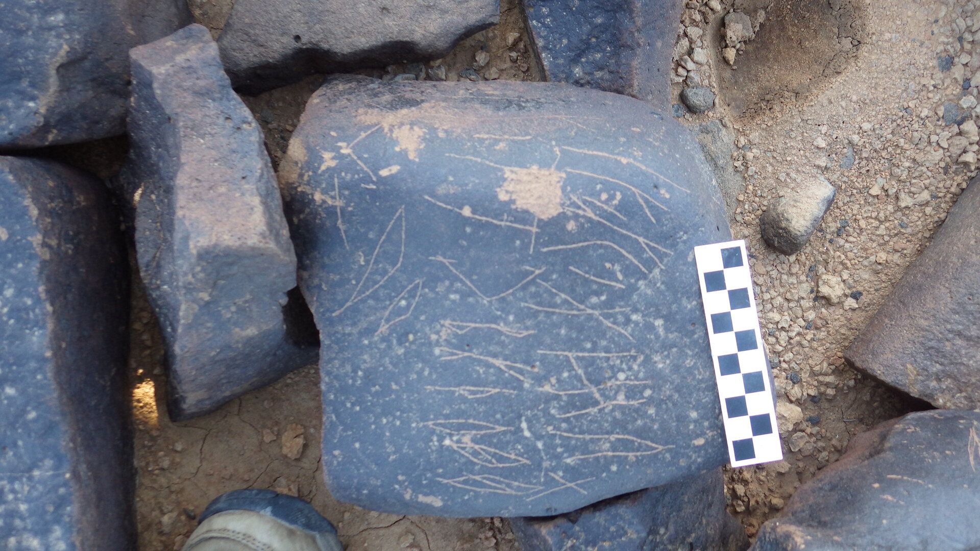Image of siglum BES20 1264