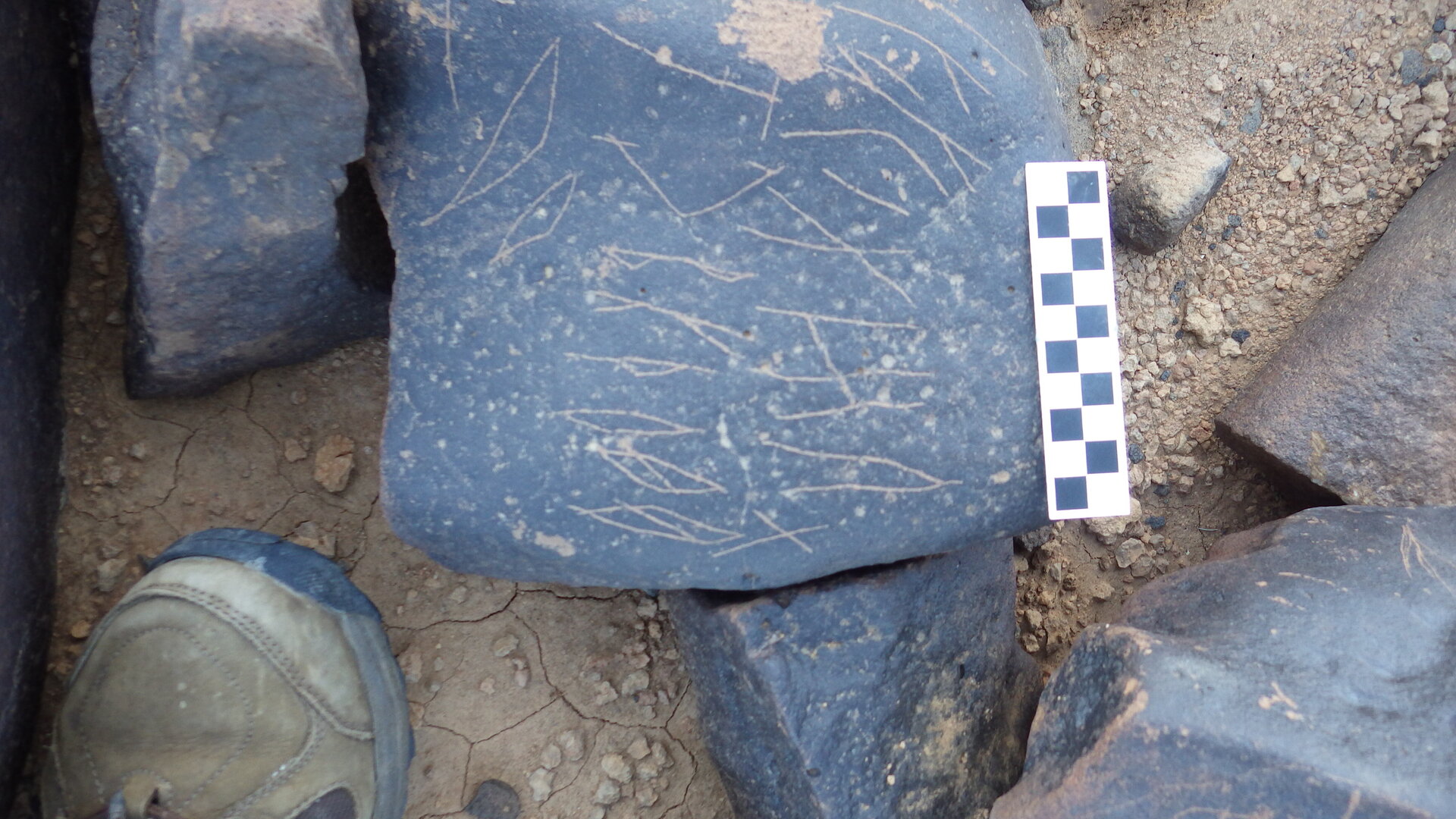 Image of siglum BES20 1264