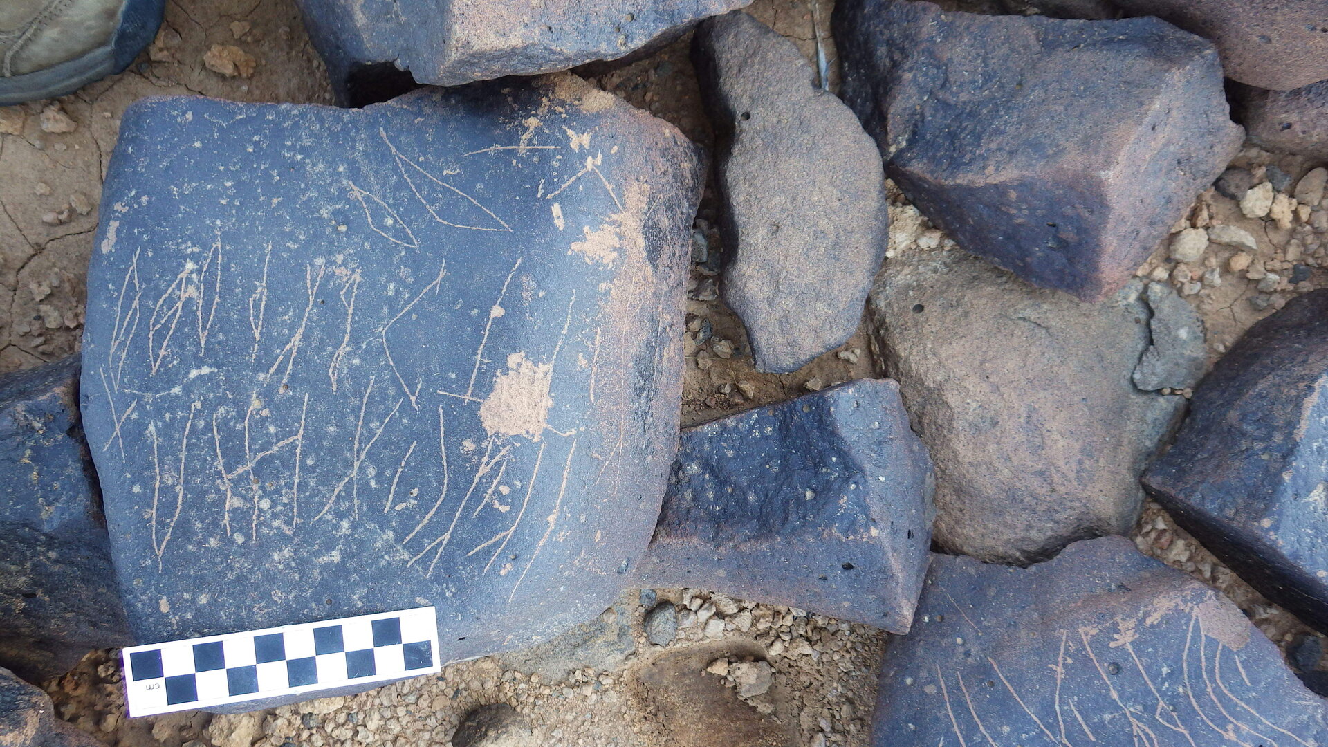 Image of siglum BES20 1264
