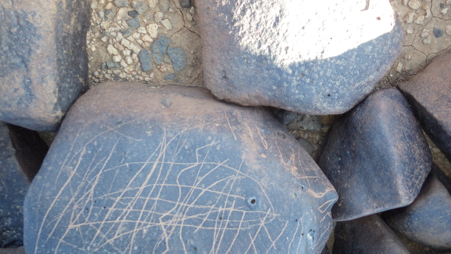 Image of siglum BES20 1268